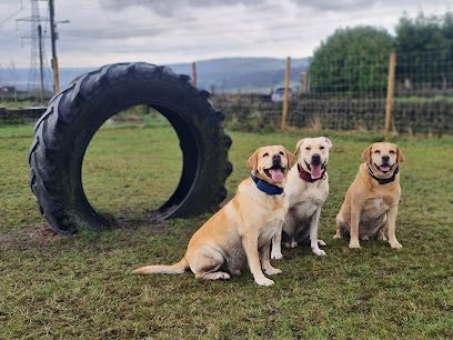 Bark-Island Dog Field — secure dog field in Halifax