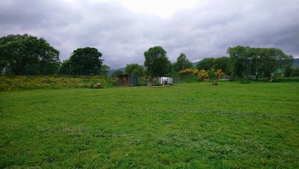 Out and Safe Dog Fields — secure dog field in Glasgow