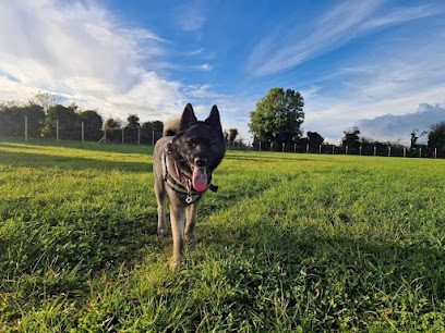 Bidford Paws Paddock — secure dog field in Alcester