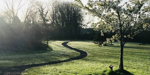East Williamston Jubilee Park and Nature Trail — secure dog field in Tenby