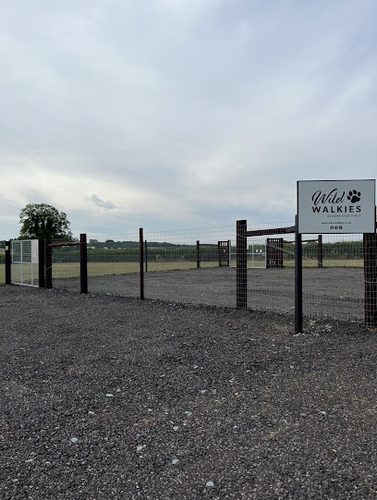 Wild Walkies - Secure Dog Field — secure dog field in Swaffham
