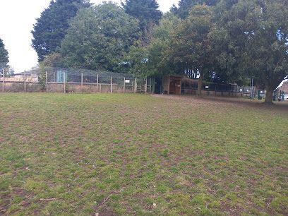 Release the Hounds — secure dog field in Leeds