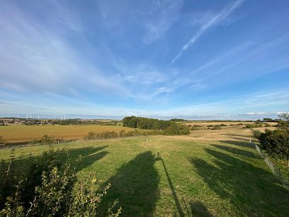 Rushton Meadows — secure dog field in Kettering