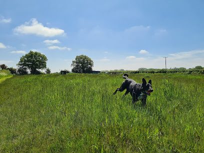Martha's Meadow — secure dog field in Worcester