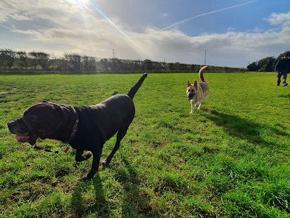 The Frog & Dog — secure dog field in Ormskirk