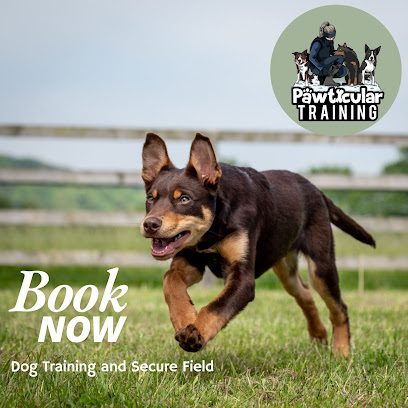 Pawticularly Dog Training & Secure Field — secure dog field in Worcester