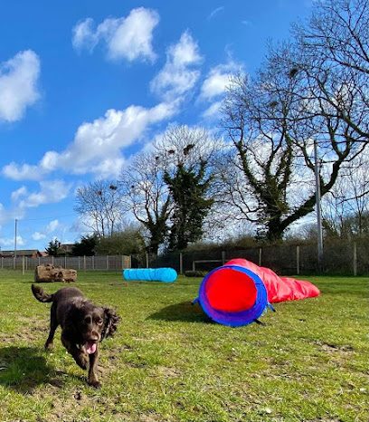 K9 Unleashed — secure dog field in Norwich