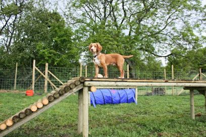 K9 Fun and Fitness — secure dog field in Catton