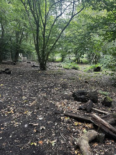 Bailees Field — secure dog field in Guildford