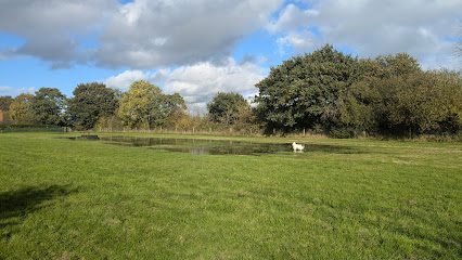 Shawbury Dog Field — secure dog field in Shrewsbury