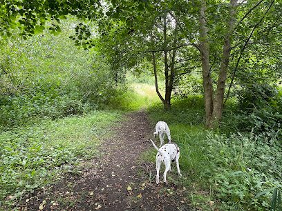 Alfie's field — secure dog field in Worcester