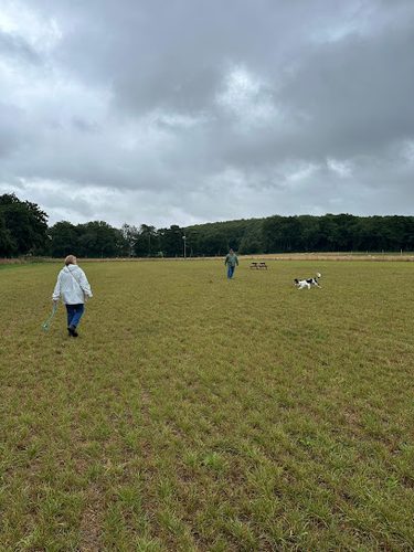 The Dog Walking Field - Ashford — secure dog field in Ashford