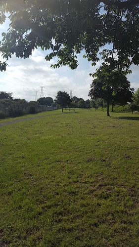 Wepre park — secure dog field in Deeside