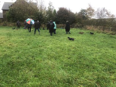 The PILLING DOG FIELD — secure dog field in Preston