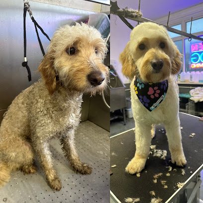 Deputy Dog Day Care and Grooming — secure dog field in Skewen