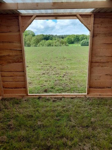 Home Farm Fields — secure dog field in Stafford