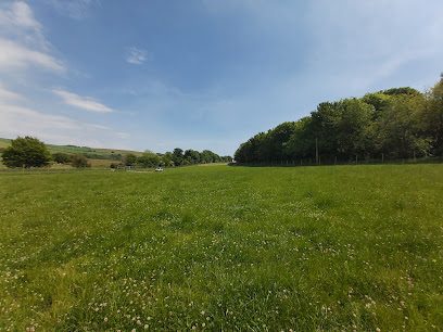 Coombes Field 4 Dogs — secure dog field in Lancing