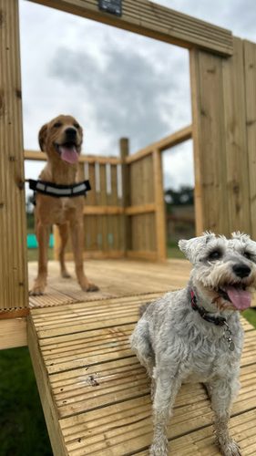 Happyhounds Dog Park — secure dog field