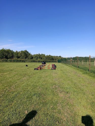 Run Free Dog Fields - Kilmarnock — secure dog field in Kilmarnock