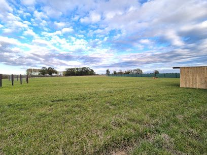 The Dog Field at Ewen — secure dog field in Cirencester