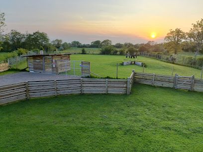 Let Loose Dog Park — secure dog field in Whitchurch
