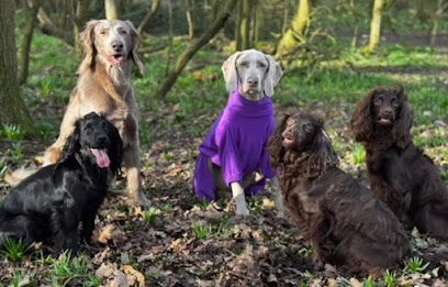 The Bark Park Woodlands Adventure — secure dog field in Chelmsford