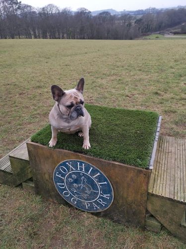 Foxhill dog park — secure dog field in Kilmarnock