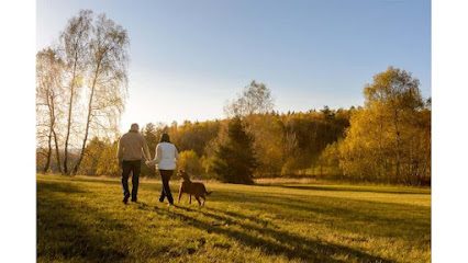 Unleashed Henhaw — secure dog field in Redhill