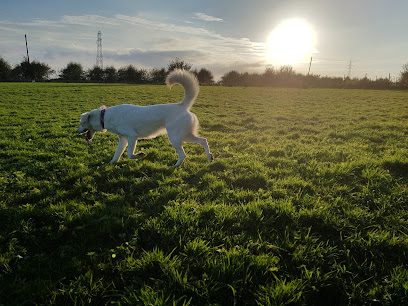 Bradlegh Dog Exercise Field — secure dog field in Warrington