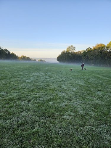 Paw Paddock - Moundsmere — secure dog field in Basingstoke