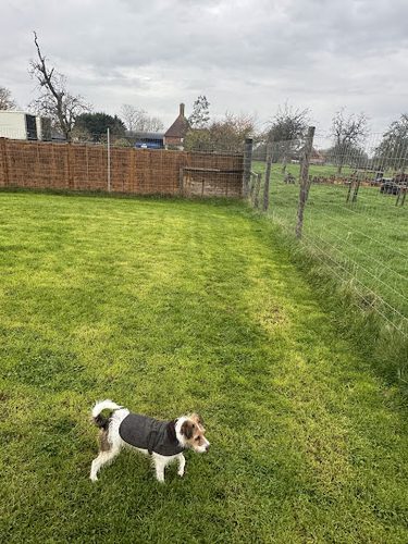 Off The Leash at Headcorn Place — secure dog field in Ashford