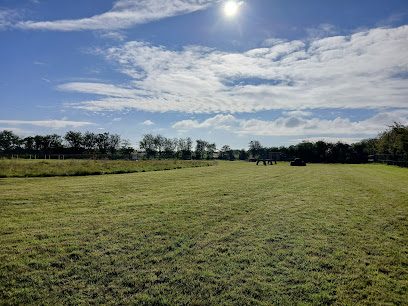 Huttoft Hounds — secure dog field in Alford