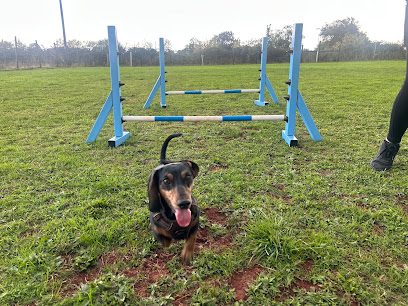 Monty's Meadow — secure dog field in Radstock