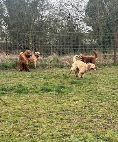 Bawtry Pawfect Secure Dog Field — secure dog field in Doncaster