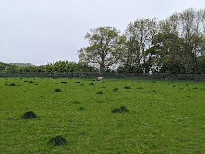Prospect Meadow - Secure Dog Walking Field — secure dog field in Sudbury