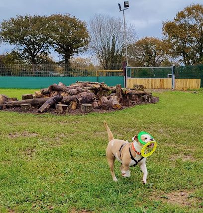 Charwell Dog Adventures and Wacky Woofers Dog Shop — secure dog field in Callington