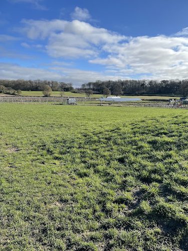 Cedarbarn Dog Field — secure dog field in Pickering