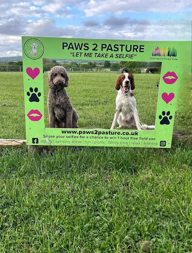 Paws2Pasture — secure dog field in Loughborough