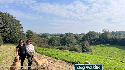 Cowpots Dog Walking Field — secure dog field in Whitland