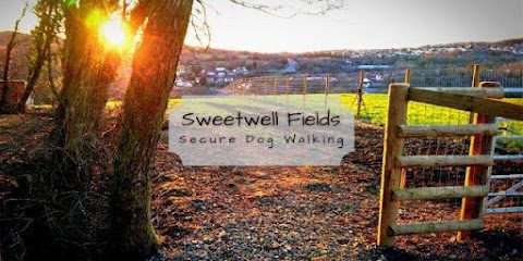 Sweetwell Fields Secure Dog Walking — secure dog field in Blackwood