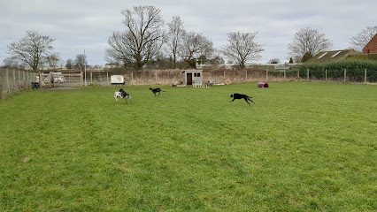 Happy Sniffers — secure dog field in Brough