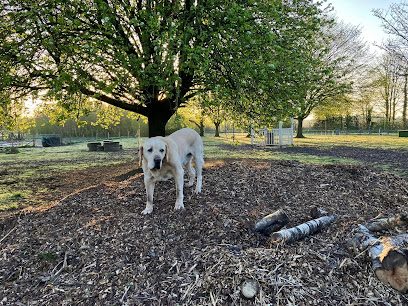 Zoomies Zone Liverpool — secure dog field in Liverpool
