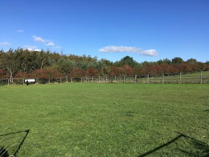 Harperland Dog Runs — secure dog field in Kilmarnock