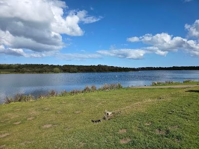 Druridge Bay Country Park — secure dog field in Morpeth