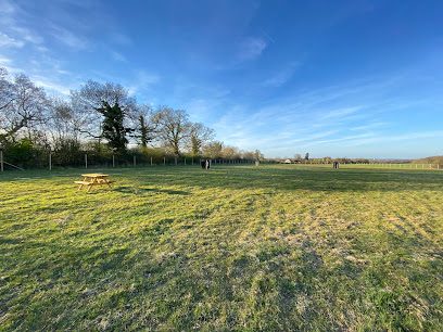 The Dog Walking Field - Chelmsford — secure dog field in Chelmsford