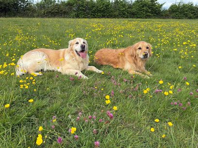 Southlodgemeadows dog parks🐾 — secure dog field in Lutterworth