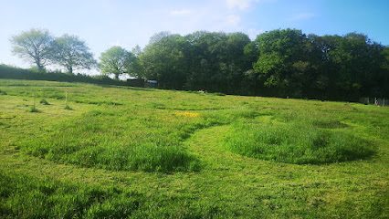 Ash Brook Dog Walking Field — secure dog field in Rugeley