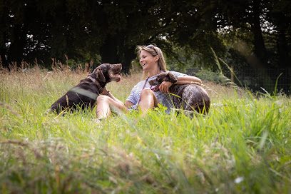 Westy & Worzel Dog Exercise Field — secure dog field in Sidmouth