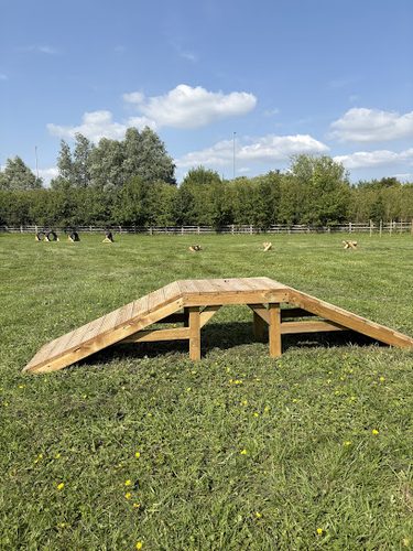 Bark park Leicester — secure dog field in Leicester