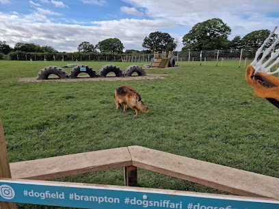 Applegarth Sniffari — secure dog field in Brampton